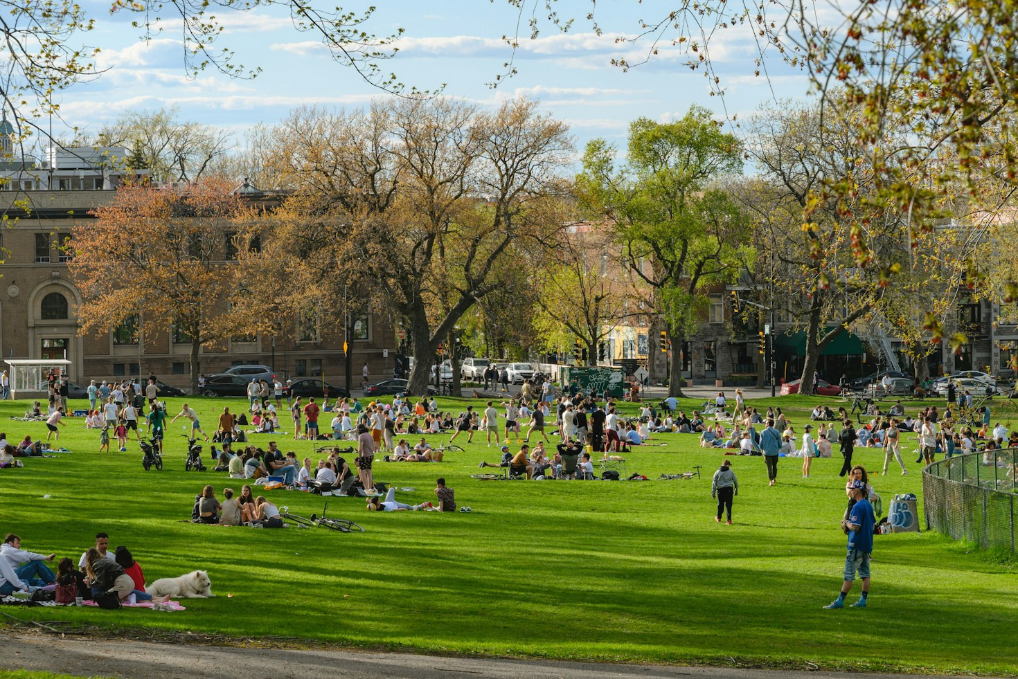 Upcoming Events and Gatherings Around Hiddenbrooke Park
