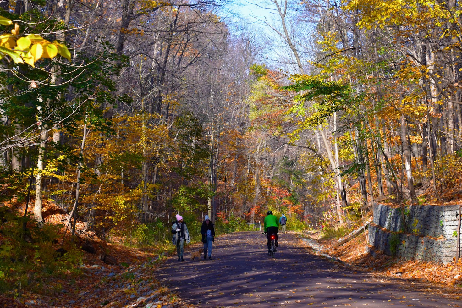 Top Local News and Neighborhood Announcements This Month