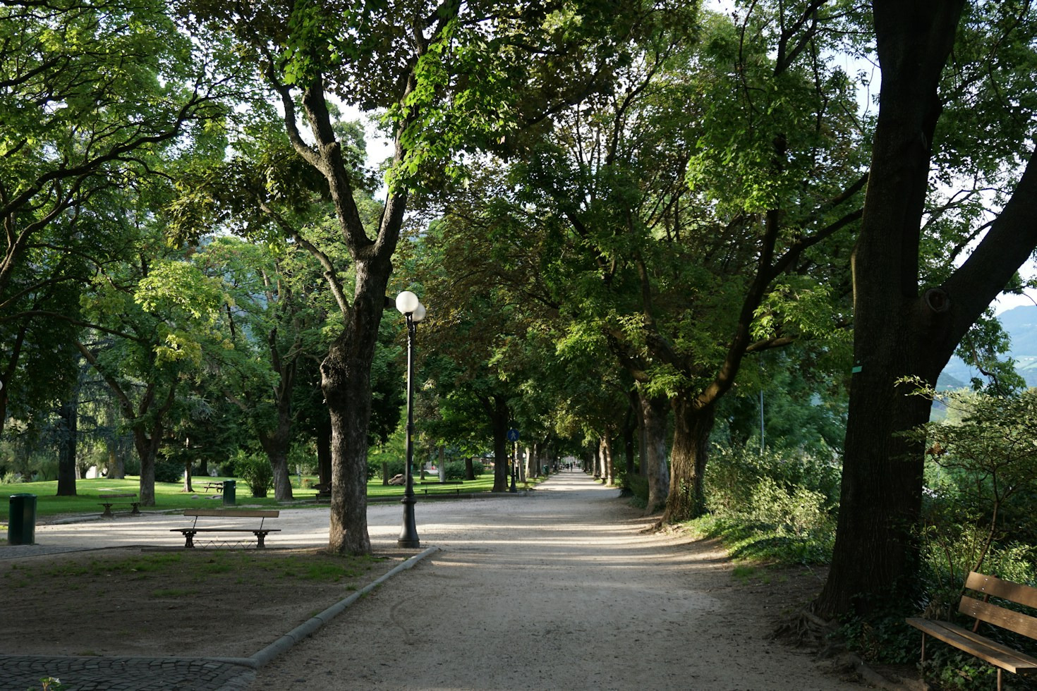 Seasonal Activities for Families Near Hiddenbrooke Park